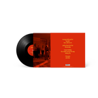 Skinty FIA (LP)